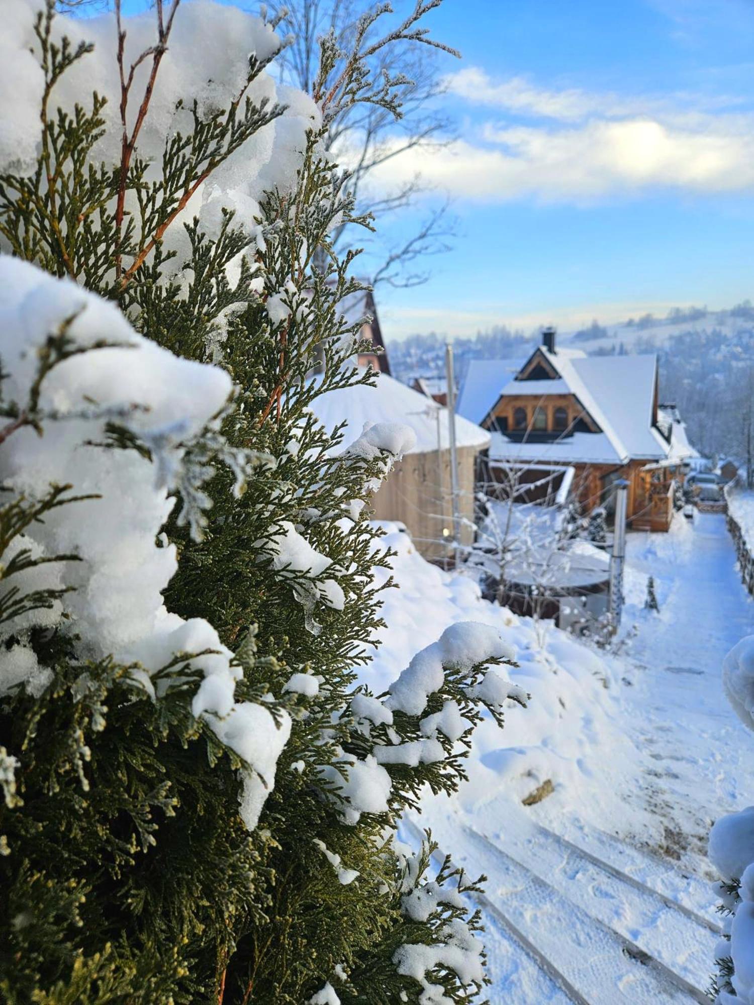 Goralska Chatka 3 Highland Cottage - Jacuzzi, Sauna, Split Ac, Private Parking, Mountains View زاكوباني المظهر الخارجي الصورة